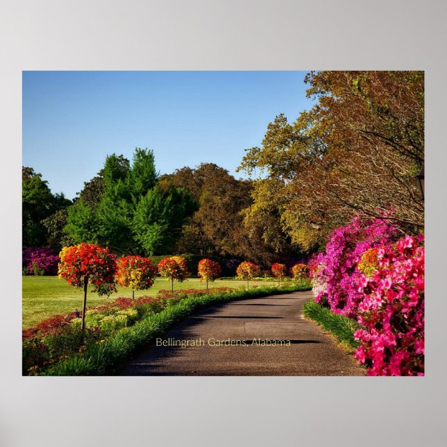 Poster Jardins de Bellingrath, Alabama (Devant)