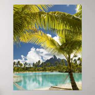 Poster Jardins et scènes du nouveau luxe St. Regis