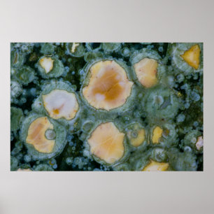 Poster Jasper de l'océan