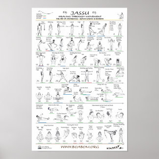 Poster Jassu : Guérir par le mouvement