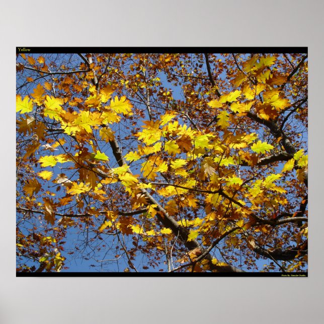 Poster jaune (Devant)