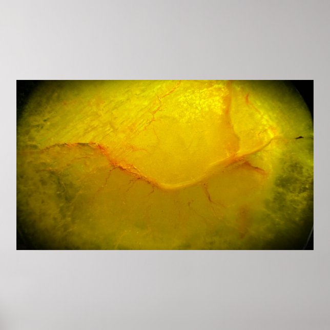 Poster Jaune Abstrait,  (Devant)