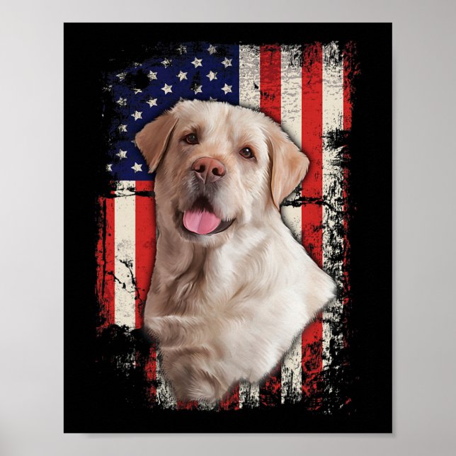 Poster Jaune Labrador Labs Patriotique American Flag Chie (Devant)