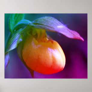 Poster Jaune Lady Slipper Orchidée Fleur Tinté
