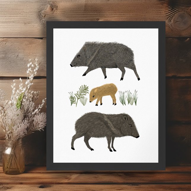 Poster Javelina Family Portrait Animaux du désert (Javelina Family Portrait Desert Animals Poster Wall Art Illustration)