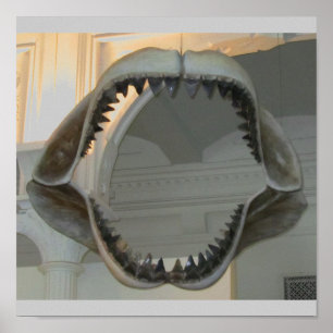 Poster Jaws préhistoriques