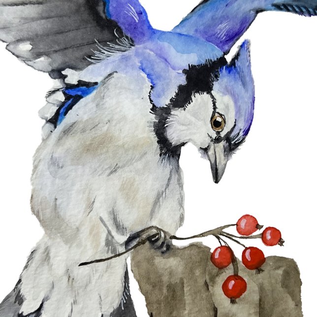 Poster Jay bleu d'oiseau de la forêt (Créateur téléchargé)