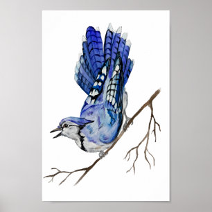 Poster Jay bleu d'oiseau de la forêt