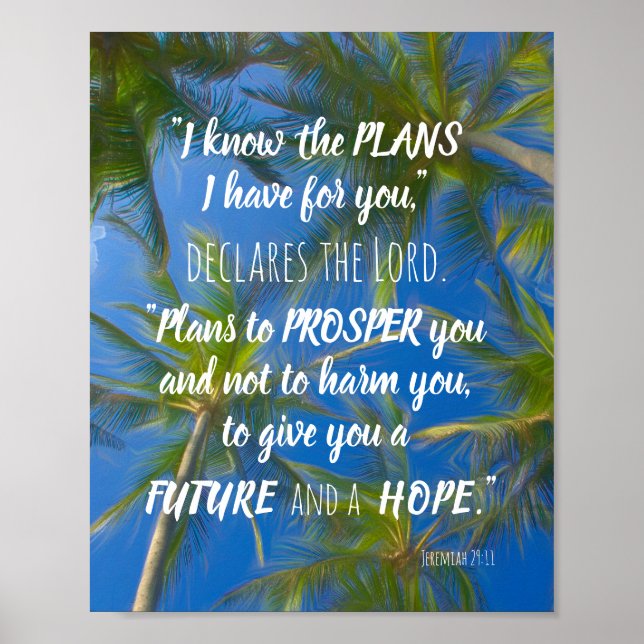 Poster Je Connais Les Plans Palmiers Jeremiah 29:11 (Devant)