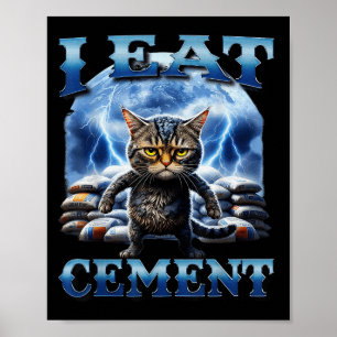 Poster Je Mange Du Ciment Maudit Chat Drôle Mème Curieuse