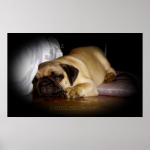 Poster 'Je me réjouis dans l'amour que je rencontre