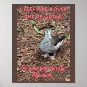 Poster Je me sens comme un canard sorti de l'eau inspiran