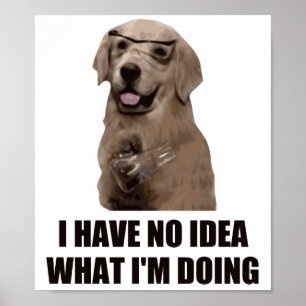 Poster Je n'ai aucune idée ce que je fais
