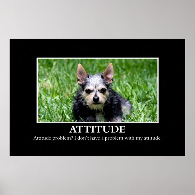 Poster Je n'ai pas de problème d'attitude [XL] (Devant)