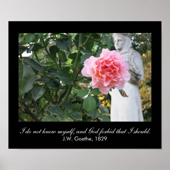 Poster Je ne me connais pas, et... (J.W. Goethe, citation (Devant)