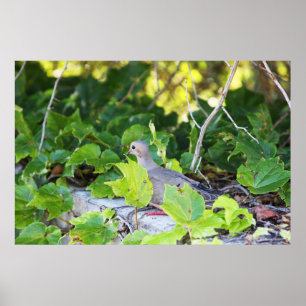 Poster Je ne peux pas me voir