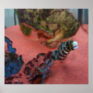 Poster JE NE SUIS PAS mince !