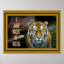 Je Ne Suis Pas Un Gros Tigre Du Bengale