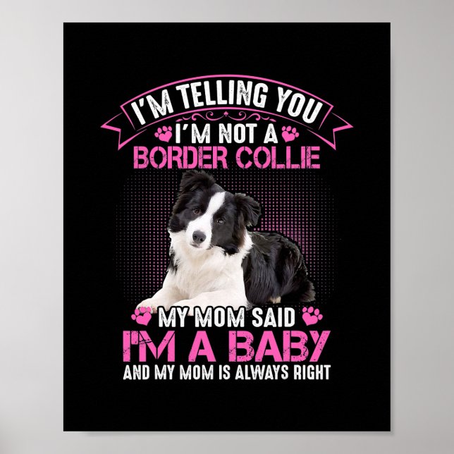 Poster Je ne suis pas une frontière Collie Ma mère dit qu (Devant)