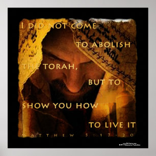 Poster Je ne suis pas venu abolir