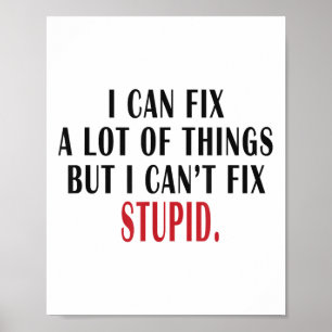 Poster Je peux réparer beaucoup de choses mais je ne peux