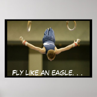 Poster Je peux voler