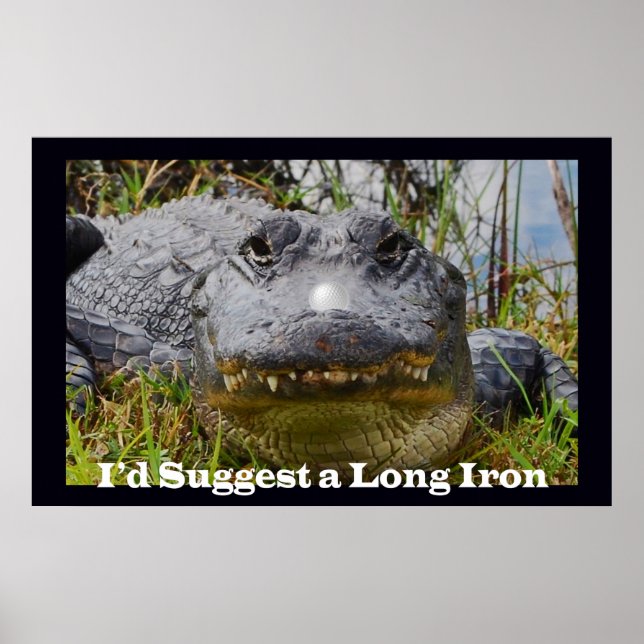 Poster Je suggère un long fer (Devant)