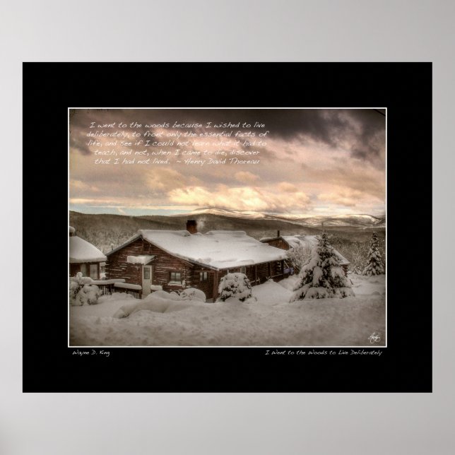 Poster Je suis allé à l'affiche Woods, Thoreau (Devant)