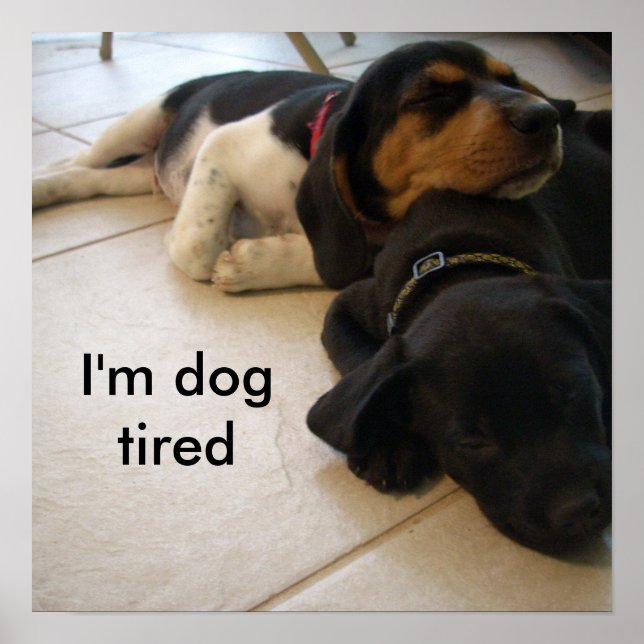 Poster Je suis fatigué par le chien (Devant)