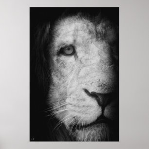 Poster Je suis le roi !