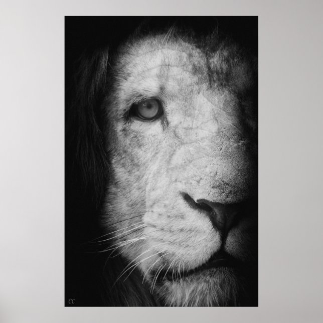 Poster Je suis le roi ! (Devant)