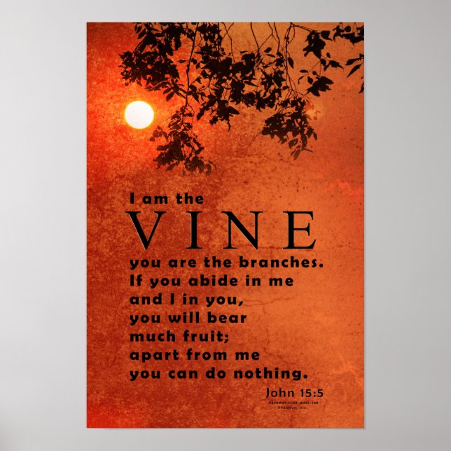 Poster Je suis le VINE (Jean 15:5) (Devant)