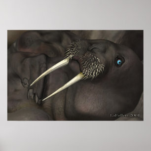 Poster Je Suis Le Walrus