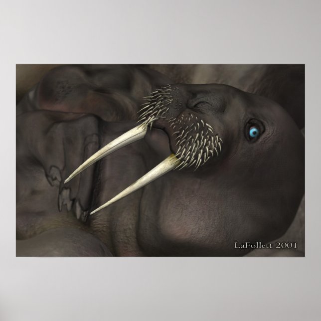 Poster Je Suis Le Walrus (Devant)