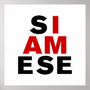 POSTER JE SUIS SIAMESE