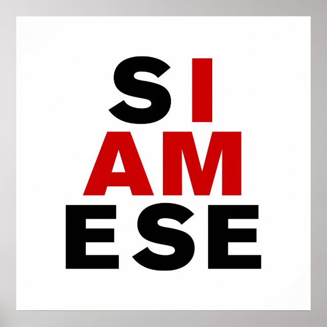 POSTER JE SUIS SIAMESE (Devant)