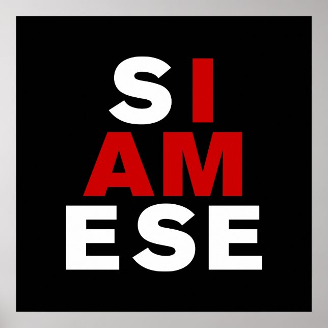 POSTER JE SUIS SIAMESE (Devant)