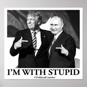 Poster Je suis stupide