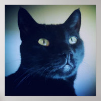 Je suis un chat imprimé