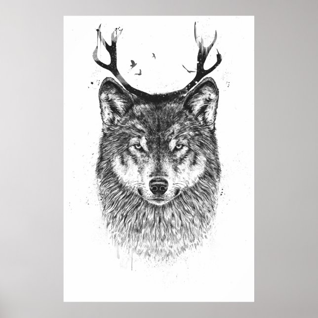Poster Je suis votre cerf (Devant)