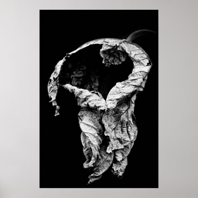 Poster je t'ai attendu (Devant)