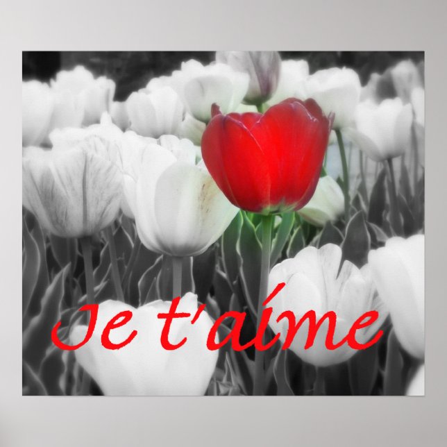Poster Je t'aime Red Tulip Imprimer (Devant)