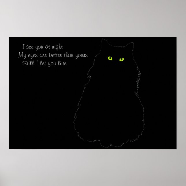 Poster Je te vois la nuit Je te laisse vivre (Devant)