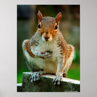 Poster "Je traverse mon coeur"