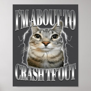 Poster Je vais m'écraser Drôle de chat qui fixe Brainrot 