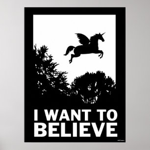 Poster Je Veux Croire