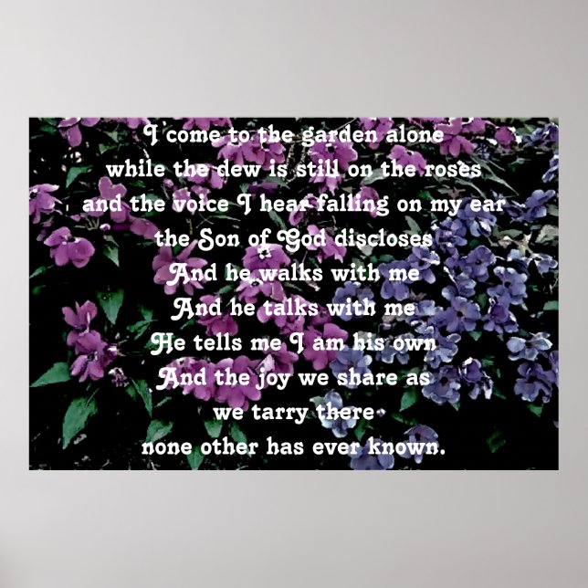 Poster Je viens au jardin fleuri seul (Devant)