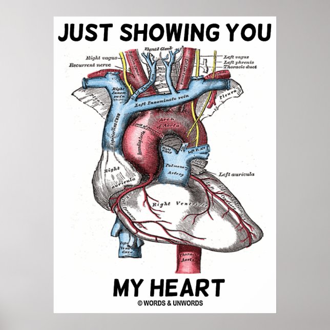 Poster Je Vous Montre Mon Coeur (Anatomie Du Coeur) (Devant)