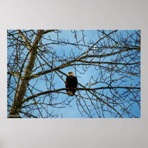 Poster Je vous regarde