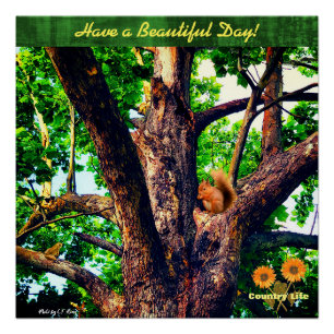 Poster Je vous souhaite une belle journée — Arbre - Vie d